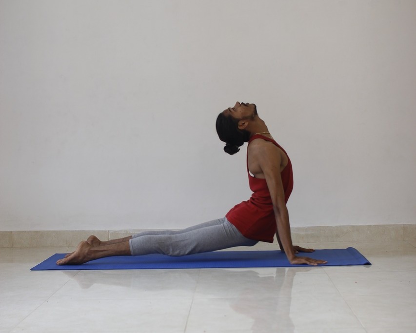 Urdhva Mukha Svanasana Urdhva Mukha Svanasana Karuna YogaBest Yoga